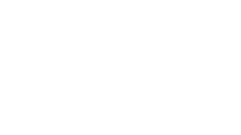 New Energy Equity Logo in white